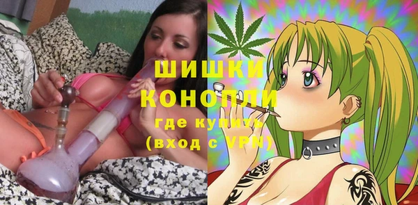 индика Лихославль