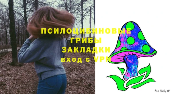 индика Лихославль