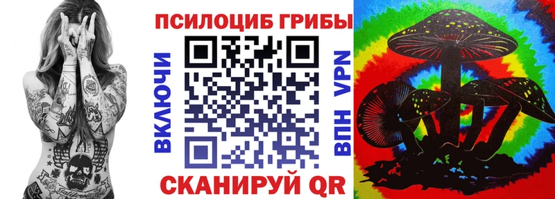 как найти закладки  Заречный  Галлюциногенные грибы Magic Shrooms 