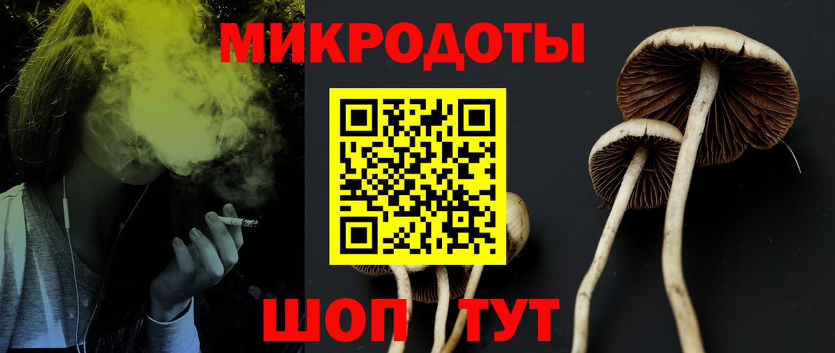 как найти   Вход с VPN  Заречный  Галлюциногенные грибы MAGIC MUSHROOMS 